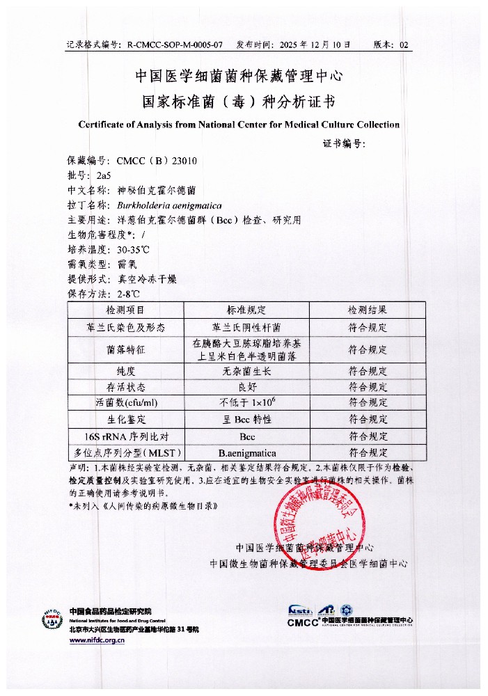 洋葱伯克霍尔德菌  国家标准菌种[CMCC(B) 23005]